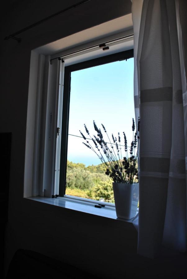 Monika Lefkada Hotel Tsoukalades Exterior photo